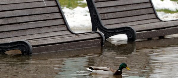 Оттепель в Минске - Sputnik Беларусь