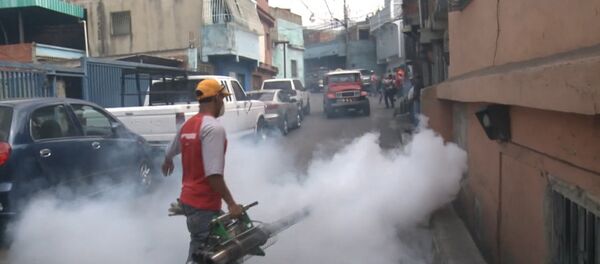 СПУТНИК_Окуривание дымом домов в Каракасе из-за вируса Зика и комментарий эксперта ВОЗ - Sputnik Беларусь