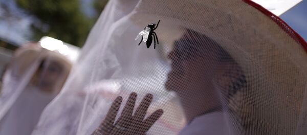 Мужчина в противомоскитной сетке - Sputnik Беларусь