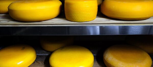 Сыр - Sputnik Беларусь