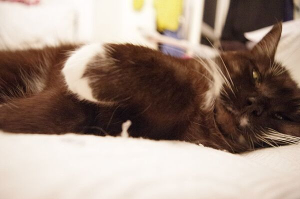 Пракрастынатар Пракрастынатар - Sputnik Беларусь