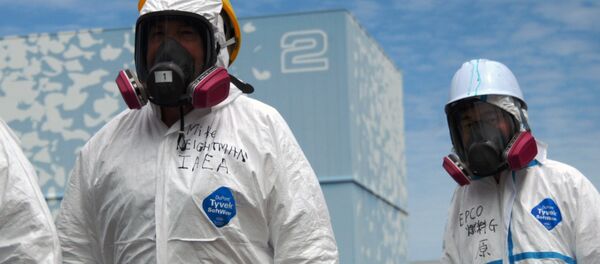 Ликвидаторы на АЭС Фукусима Ликвидаторы на АЭС Фукусима - Sputnik Беларусь