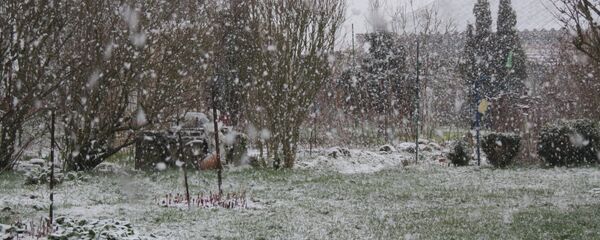 Мокрый снег - Sputnik Беларусь