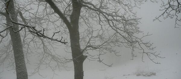 Мокрый снег - Sputnik Беларусь