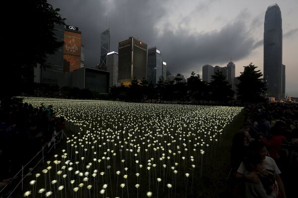 Светящиеся цветы в Гонконге - Sputnik Беларусь