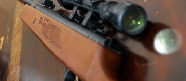 Пневматическая винтовка - Sputnik Беларусь