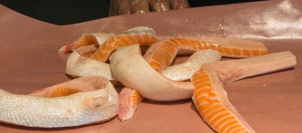 Брюшки лосося - Sputnik Беларусь