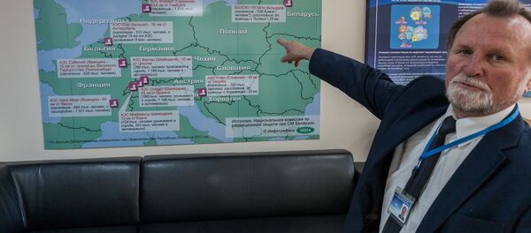 Руководитель группы БелАЭС Николай Груша - Sputnik Беларусь