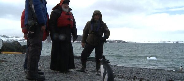 СПУТНИК_Патриарх Кирилл с полярниками погулял среди пингвинов по берегу Антарктиды - Sputnik Беларусь