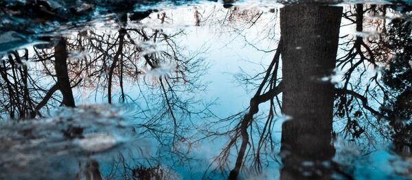 Лужа зимой - Sputnik Беларусь