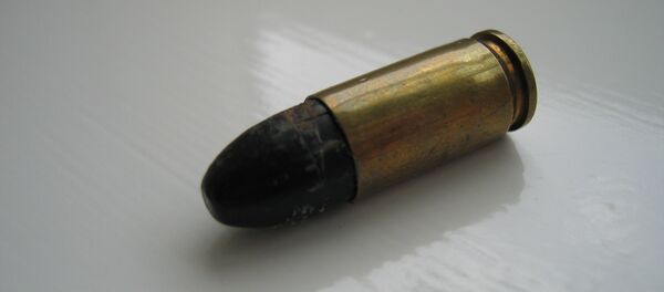 Патрон - Sputnik Беларусь