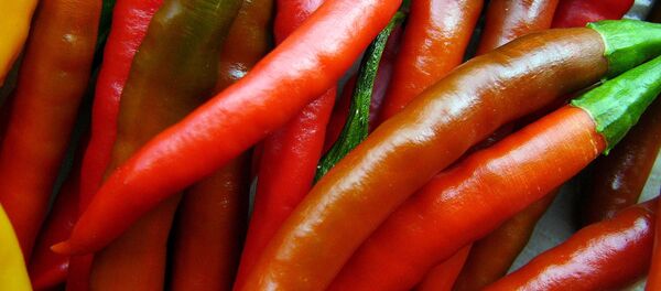 Красный перец - Sputnik Беларусь