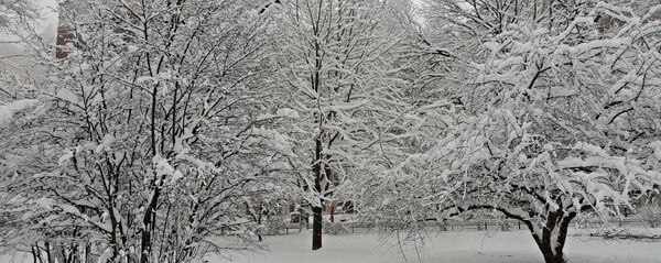 Мокры снег - Sputnik Беларусь