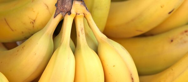 Бананы - Sputnik Беларусь