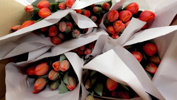Чтобы цветы дарили праздничное настроение не только 8 марта, но и, как минимум, еще несколько дней важно правильно их выбирать - Sputnik Беларусь