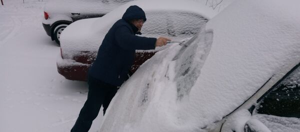 Снег в Минске - Sputnik Беларусь