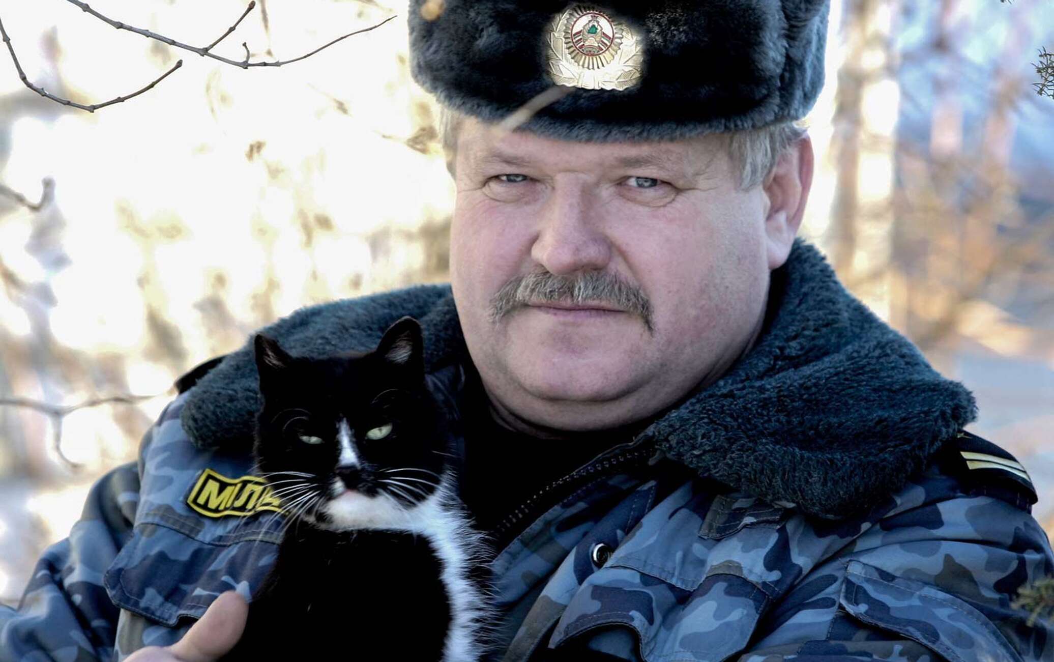 Кот мент