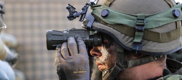 Солдат литовской армии, архивное фото - Sputnik Беларусь