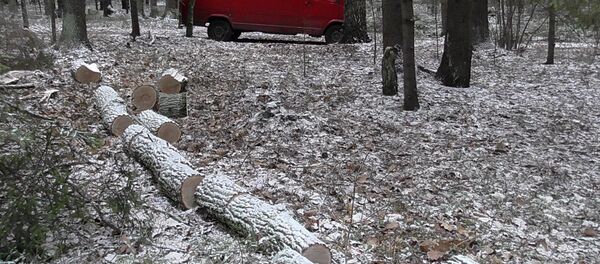 Автомобиль заготовителя дров Автомобиль заготовителя дров - Sputnik Беларусь