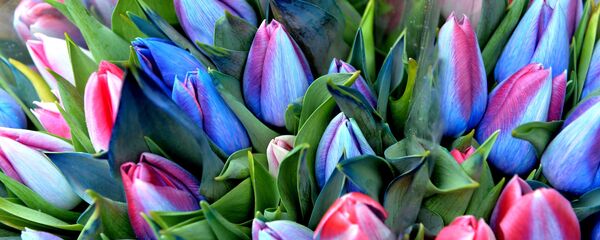 Букет кветак на Дзень усіх закаханых Букет кветак на Дзень усіх закаханых - Sputnik Беларусь