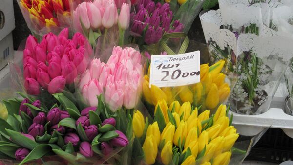 Цены на тюльпаны на 8 Марта - Sputnik Беларусь