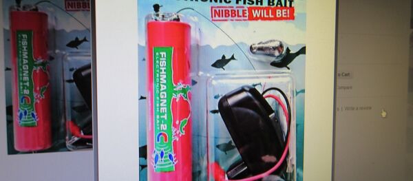 Электронный прибор Фишмагнит - Sputnik Беларусь