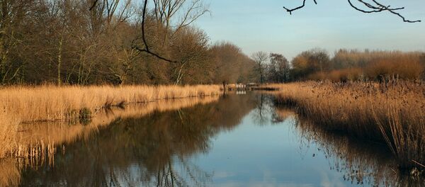 Река весной - Sputnik Беларусь