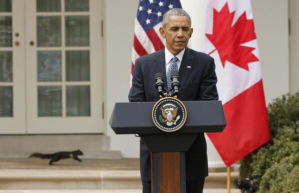 Дикая белка бежит по колоннаде Белого дома за спиной выступающего Барака Обамы - Sputnik Беларусь