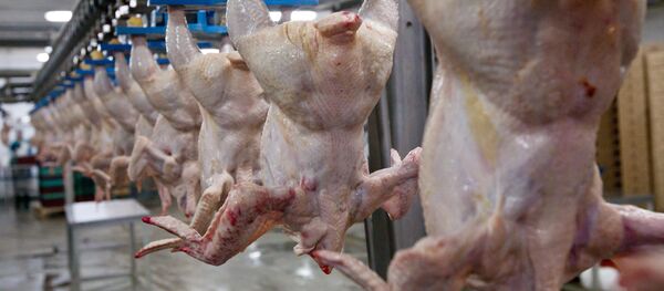 Работа  птицефабрики - Sputnik Беларусь