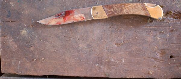 Нож, архивное фото Нож, архивное фото - Sputnik Беларусь