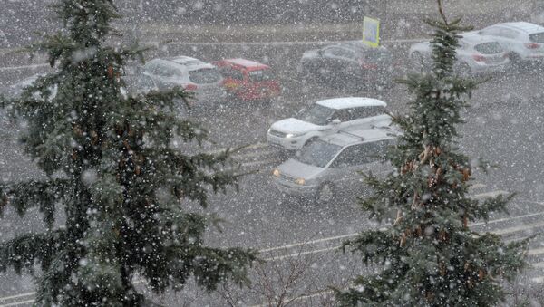 Снегопад, архивное фото - Sputnik Беларусь