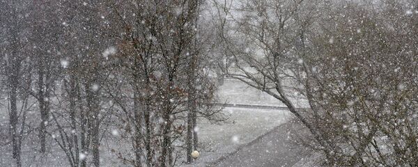 Снегапад у Мінску - Sputnik Беларусь