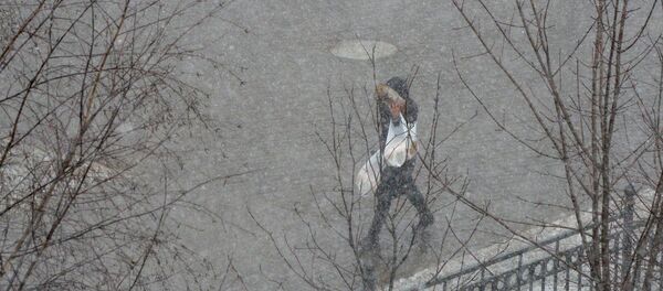 Снегопад, архивное фото - Sputnik Беларусь