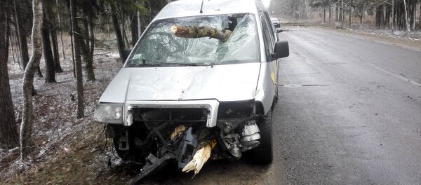 Дерево пробило лобовое стекло такси - Sputnik Беларусь