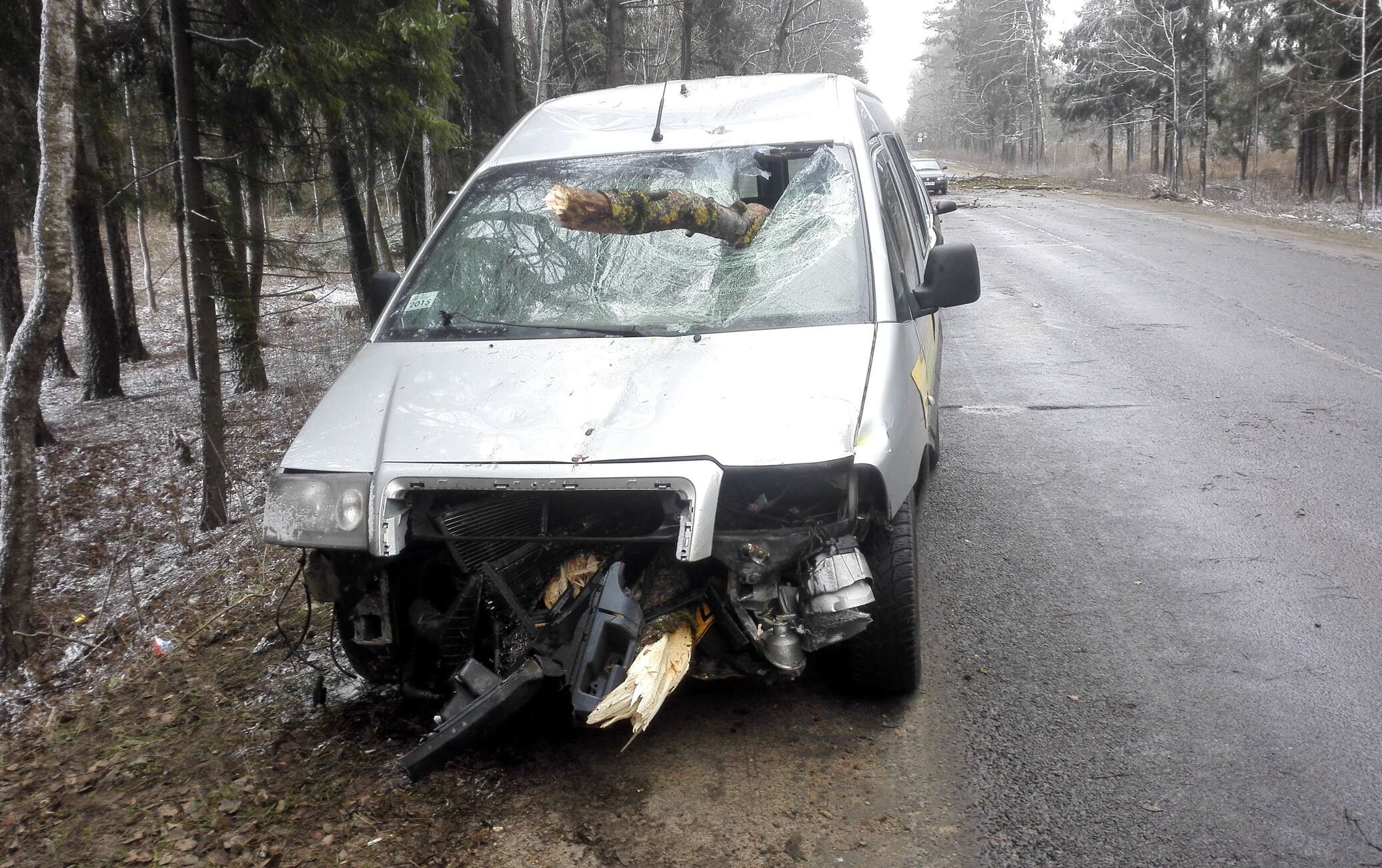 Дерево упало на движущуюся машину под Минском и пробило лобовое стекло -  19.03.2016, Sputnik Беларусь