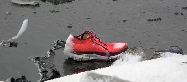 Кроссовка одного из пассажиров на месте крушения пассажирского самолета Boeing-737-800 - Sputnik Беларусь