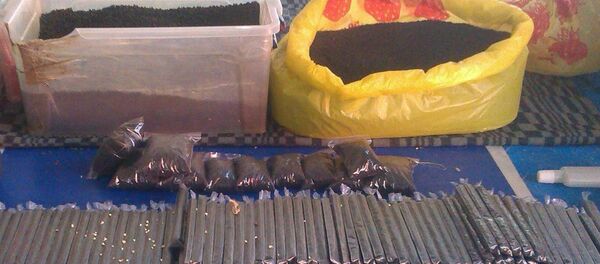 Насвай Насвай - Sputnik Беларусь