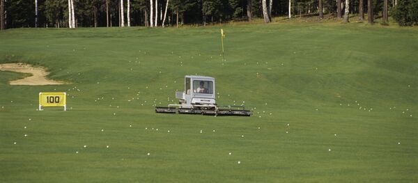 Профессиональное поле для гольфа - Sputnik Беларусь