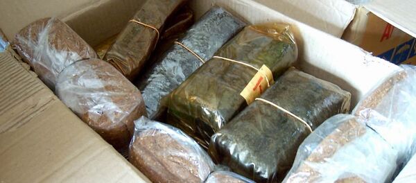 Упаковки с насваем - Sputnik Беларусь