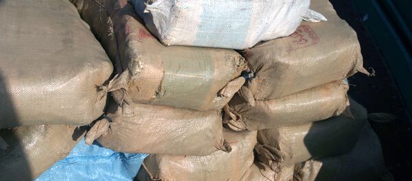 Партия наркотиков Партия наркотиков - Sputnik Беларусь