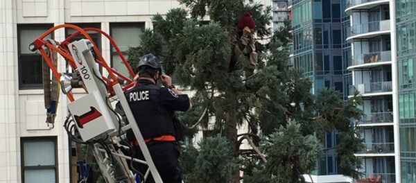 Молодой человек на дереве в Сиэтле Молодой человек на дереве в Сиэтле - Sputnik Беларусь