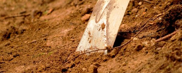 Лопата в земле. Архивное фото - Sputnik Беларусь