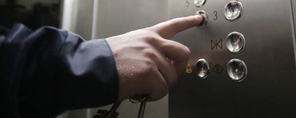 Главное в доме - чувствовать себя хозяином. - Sputnik Беларусь