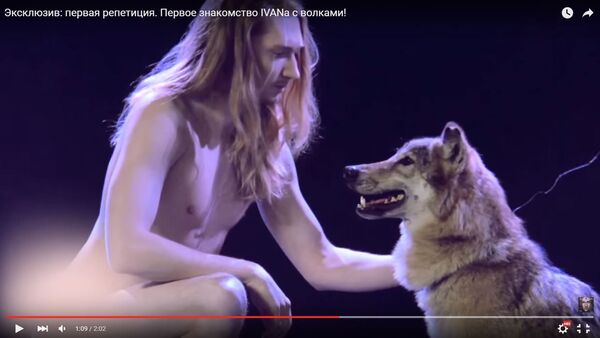 Репетиция Ivan'а с волками - Sputnik Беларусь