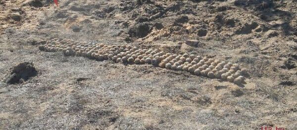 Боеприпасы времен ВОВ, найденные под Бобруйском - Sputnik Беларусь