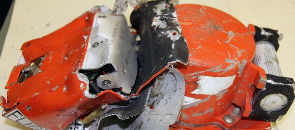 Бортовые самописцы с самолета Боинг 737-800 A6-FDN авиакомпании FlyDubai Бортовые самописцы с самолета Боинг 737-800 A6-FDN авиакомпании FlyDubai - Sputnik Беларусь