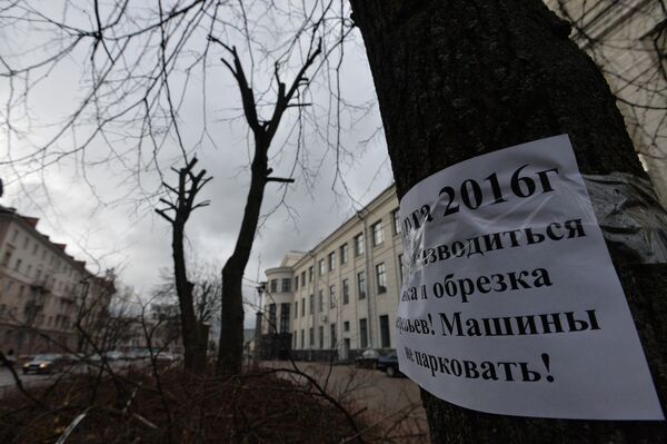 Обрезка деревьев на бульваре Мулявина - Sputnik Беларусь