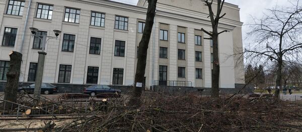 Обрезка деревьев на бульваре Мулявина - Sputnik Беларусь