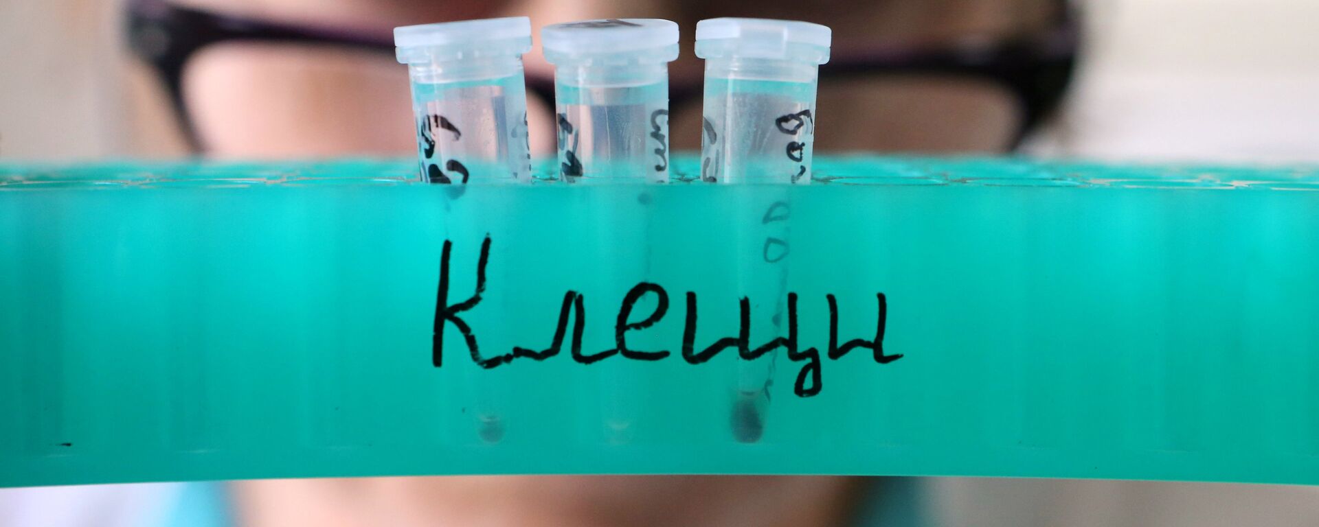 Клещи - Sputnik Беларусь, 1920, 20.03.2026