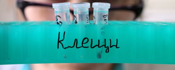 Противоклещевая обработка лесопарковых территорий в Калининграде - Sputnik Беларусь